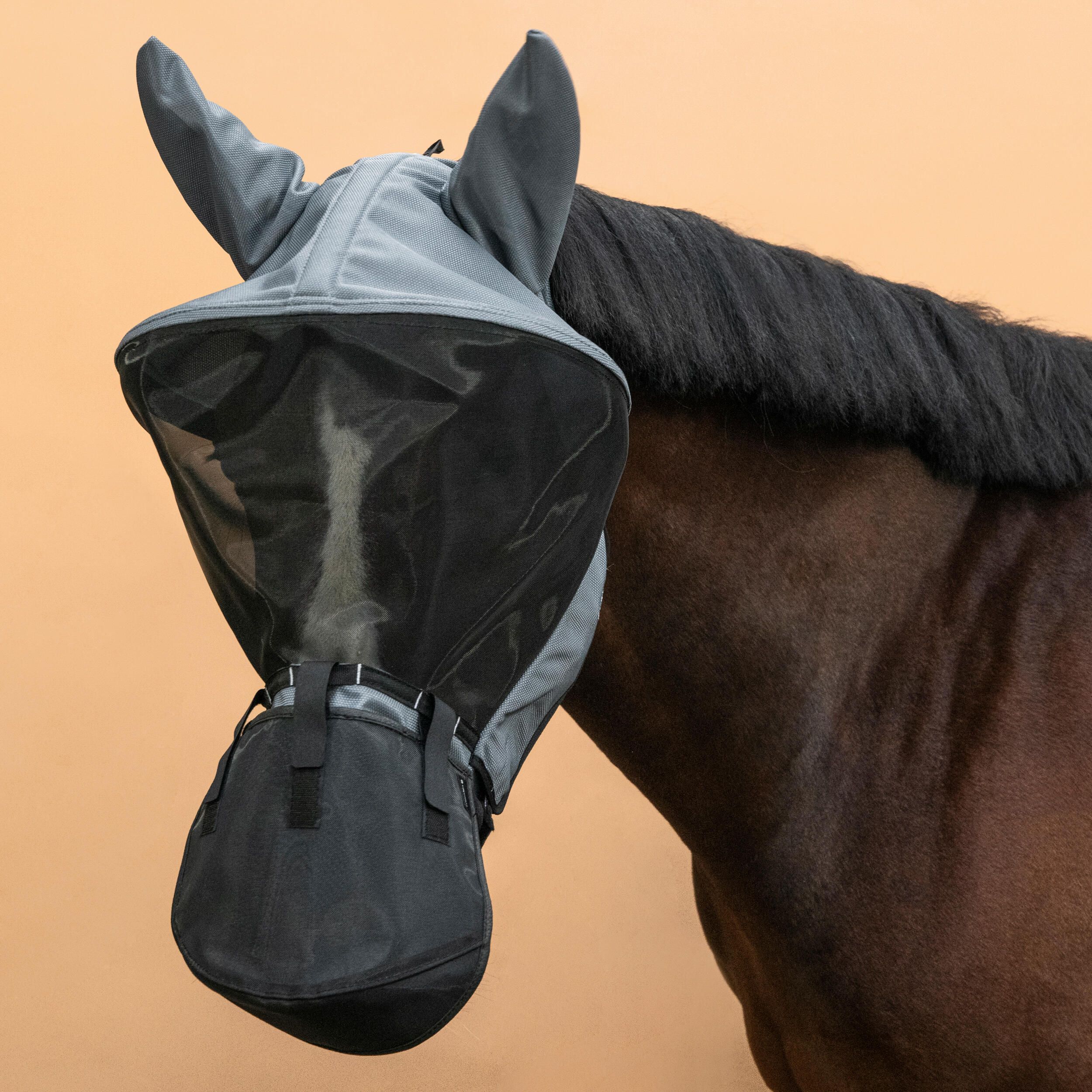 Horse Riding Fly Mask with Frame for Horse & Pony - Asphalt Grey 3/8