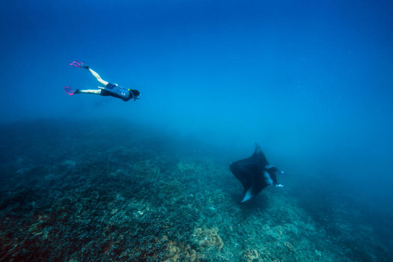 Top anty-UV do snorkelingu damski Subea z neoprenu 1,5 mm długi rękaw