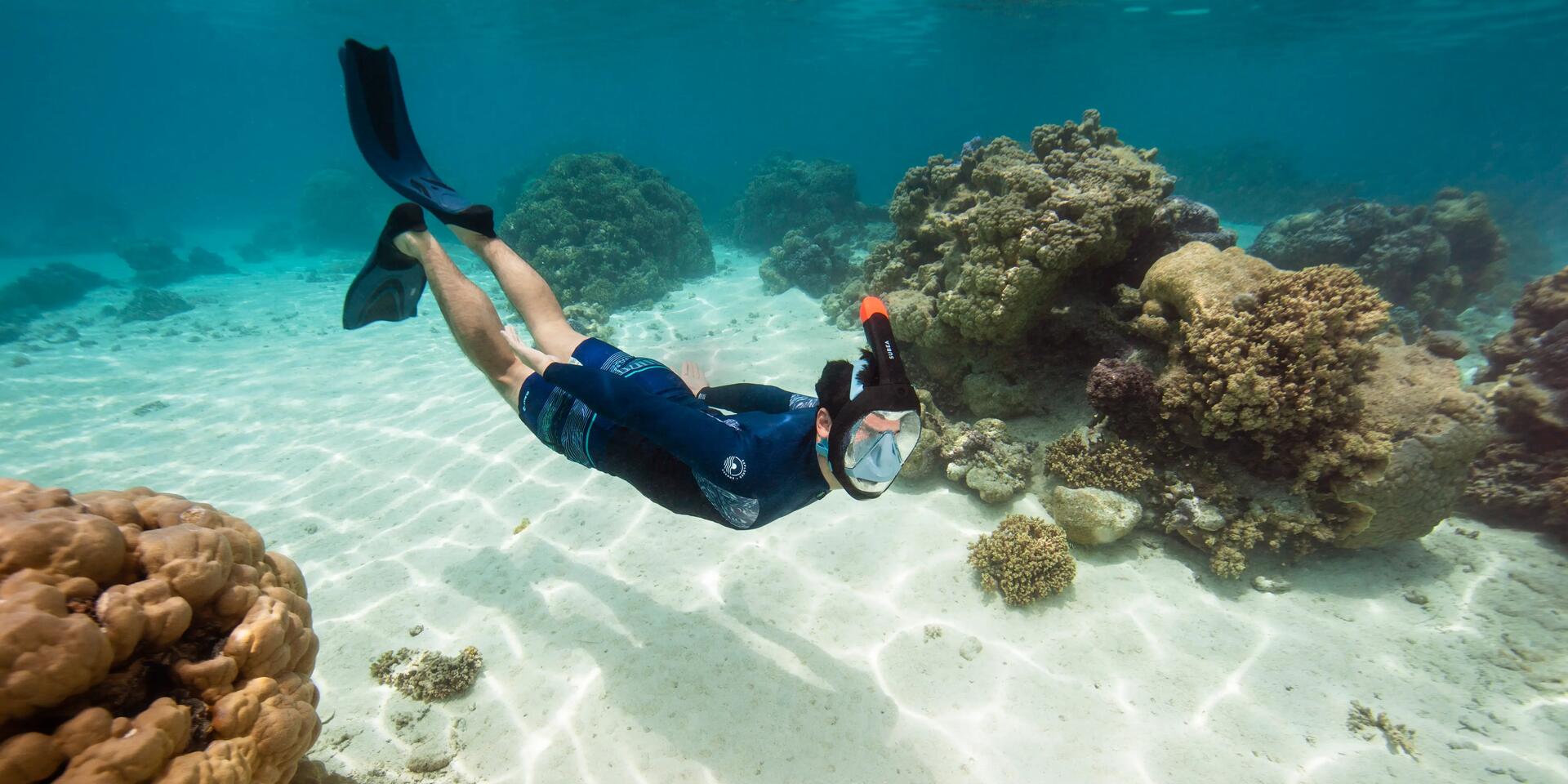 Snorkeling Easybreath Masks