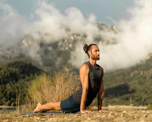 Salutation_au_Soleil_Surya_Namaskar