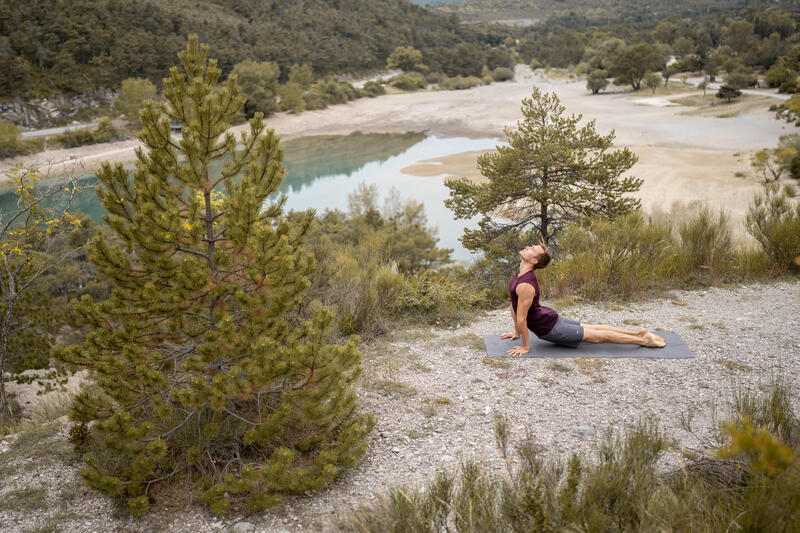 Joga – pies z głową w górę (urdhva mukha svanasana)