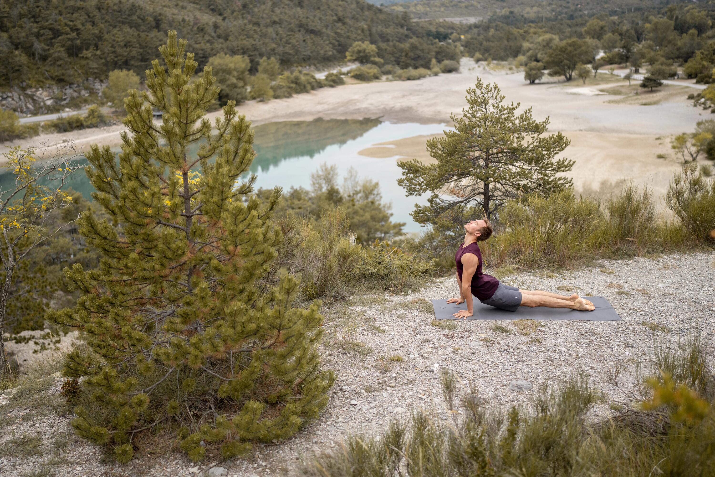Joga – pies z głową w górę (urdhva mukha svanasana)