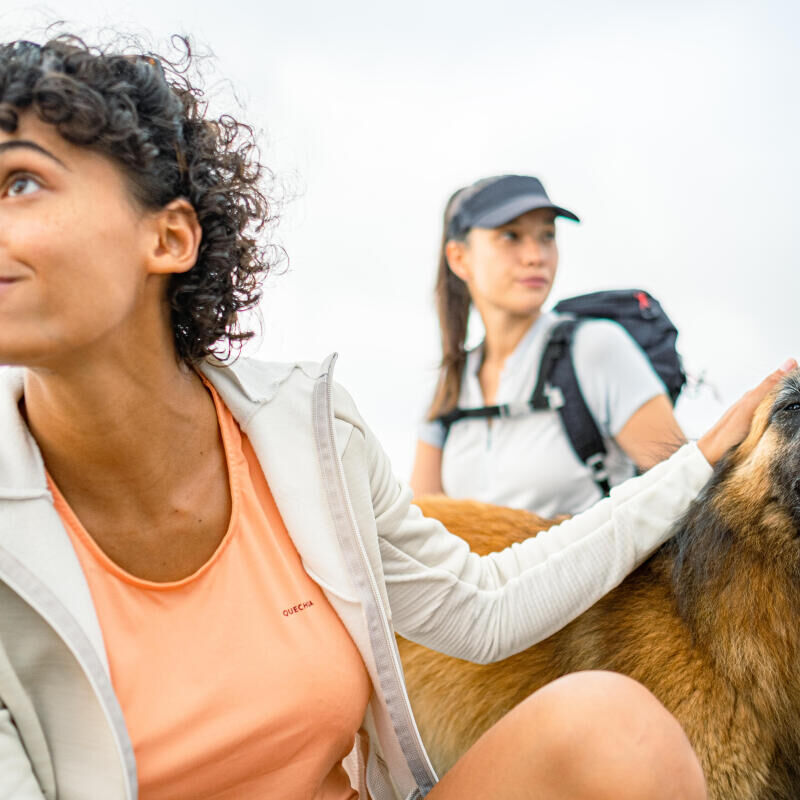 Say goodbye to dog-walking and say hello to dog-led hiking - title