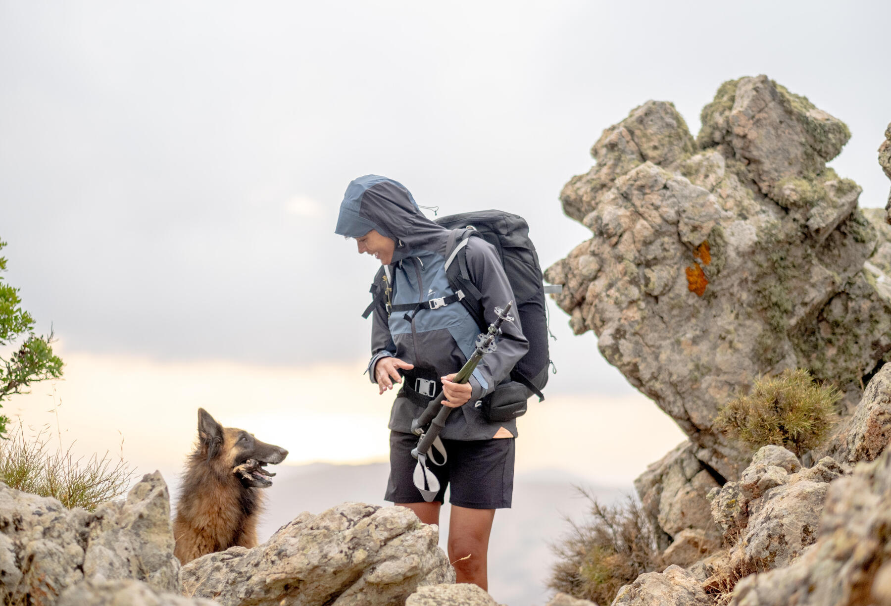 Say goodbye to dog walking and say hello to dog led hiking