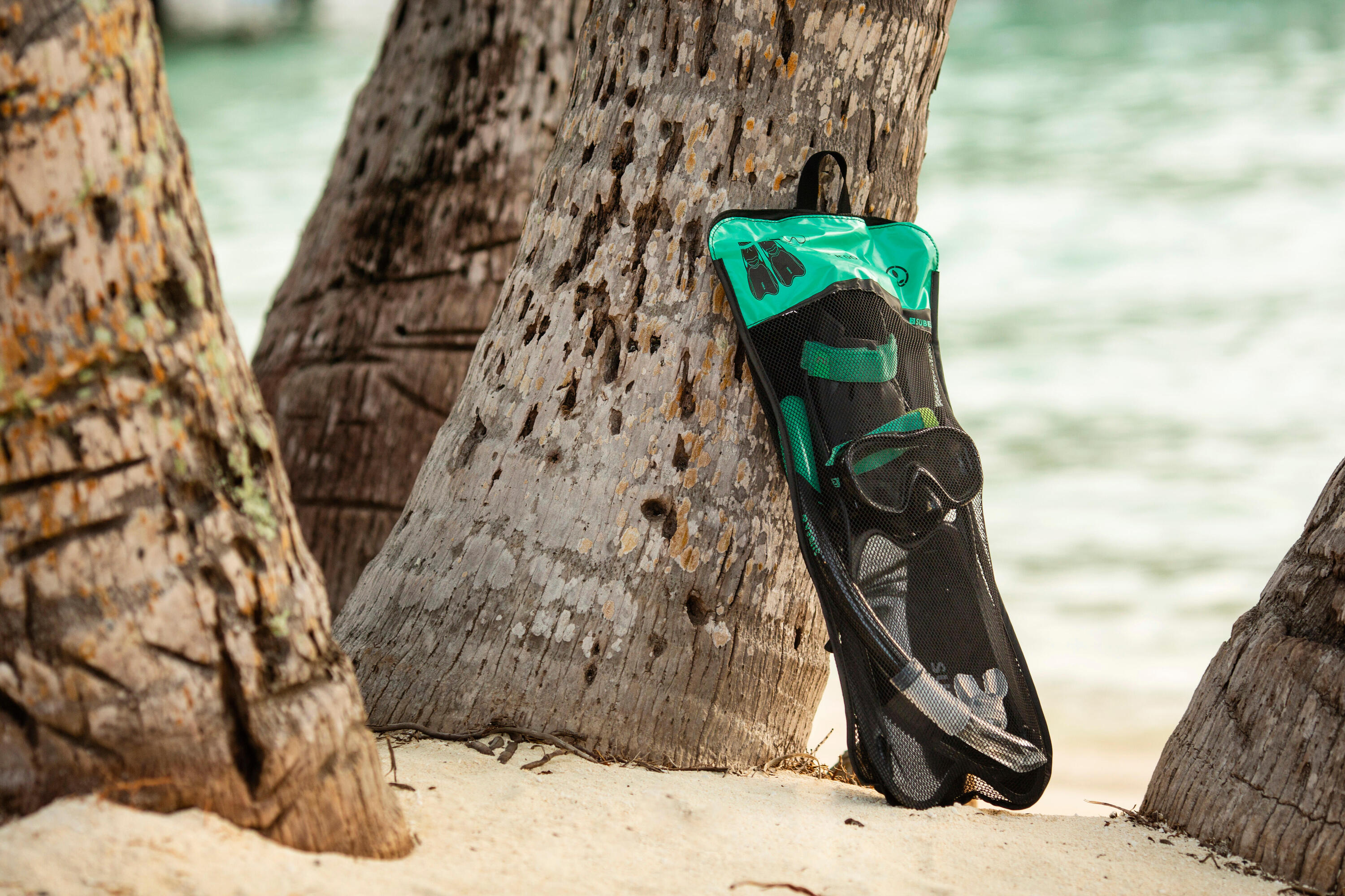 Kit snorkeling adulto R'GOMOOVE nero-verde 12/14