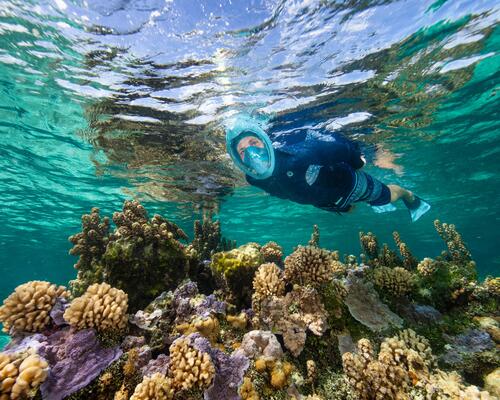 mężczyzna nurkujący w masce do snorkelingu