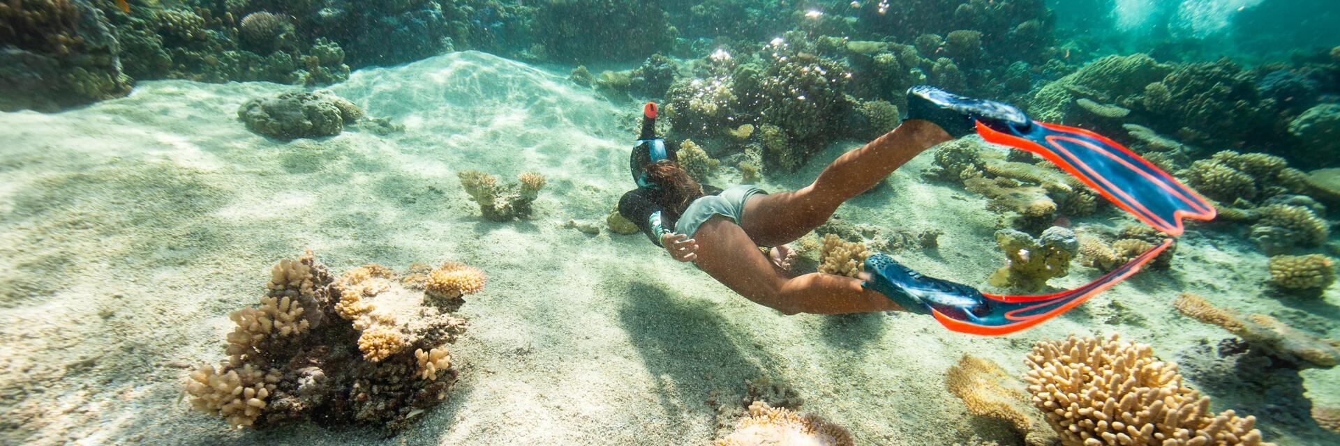 waarom snorkelen?