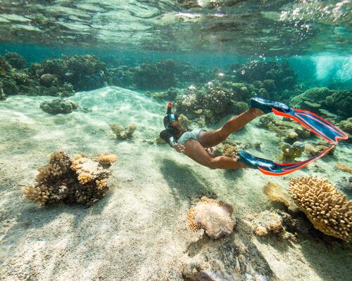 waarom snorkelen?