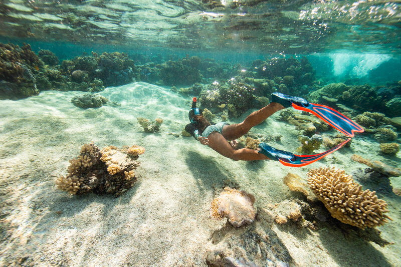 10 bonnes raisons de se mettre au snorkeling