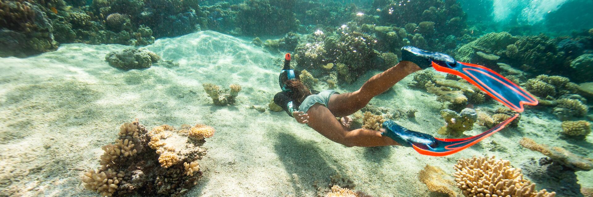waarom snorkelen?