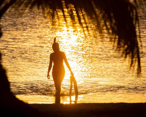 Comment choisir ses palmes de snorkeling ?