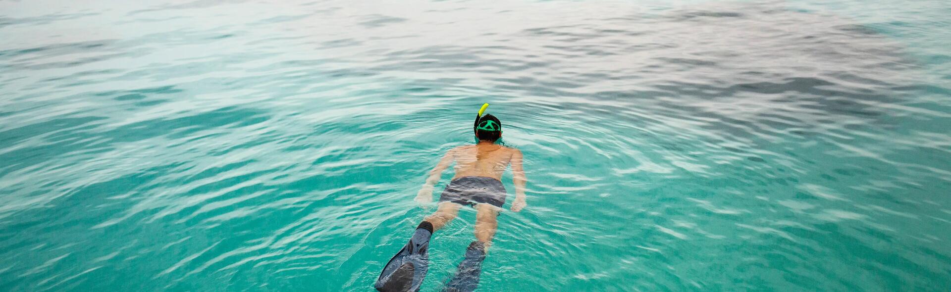 Nos conseils snorkeling débuter