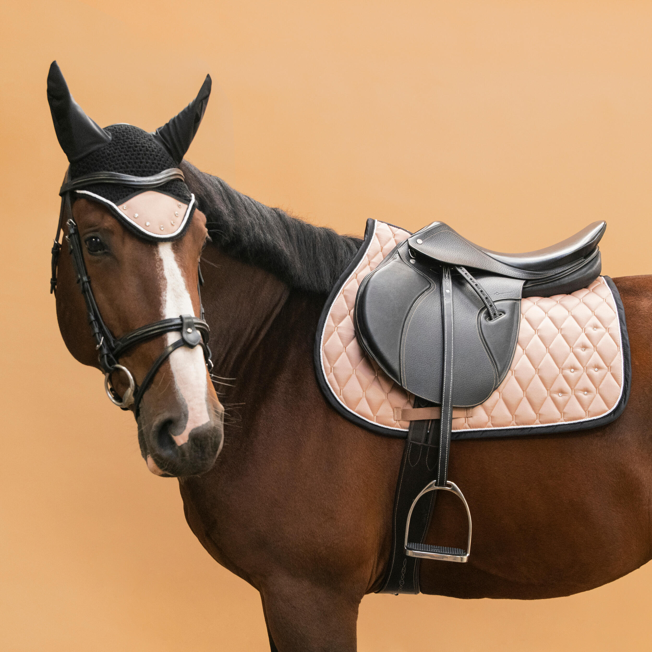 Oornetje voor paard strass marineblauw beige 4/4