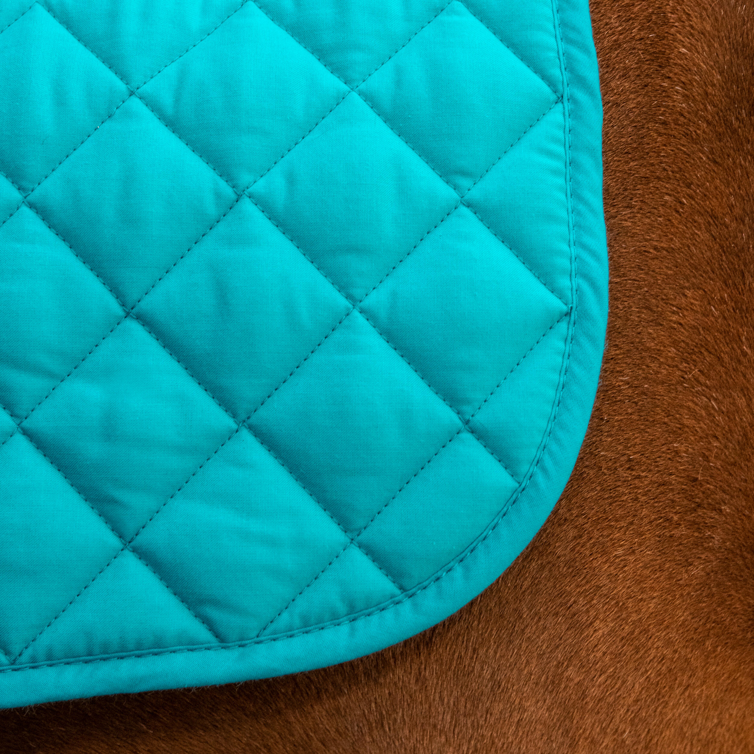 Horse Riding Saddle Cloth for Pony 100 - Teal 3/5