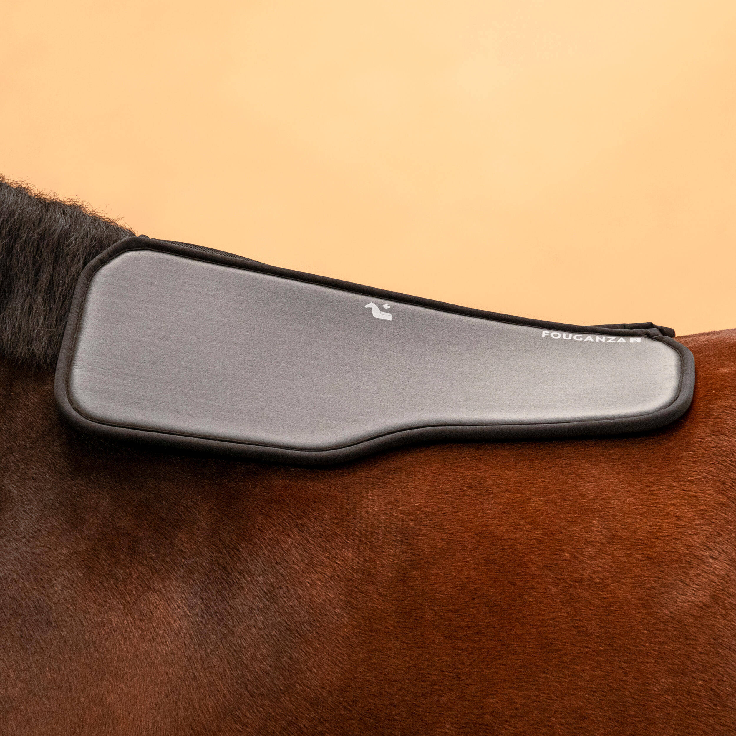 Horse/Pony Riding Foam Saddle Pad 100 - Black -  2