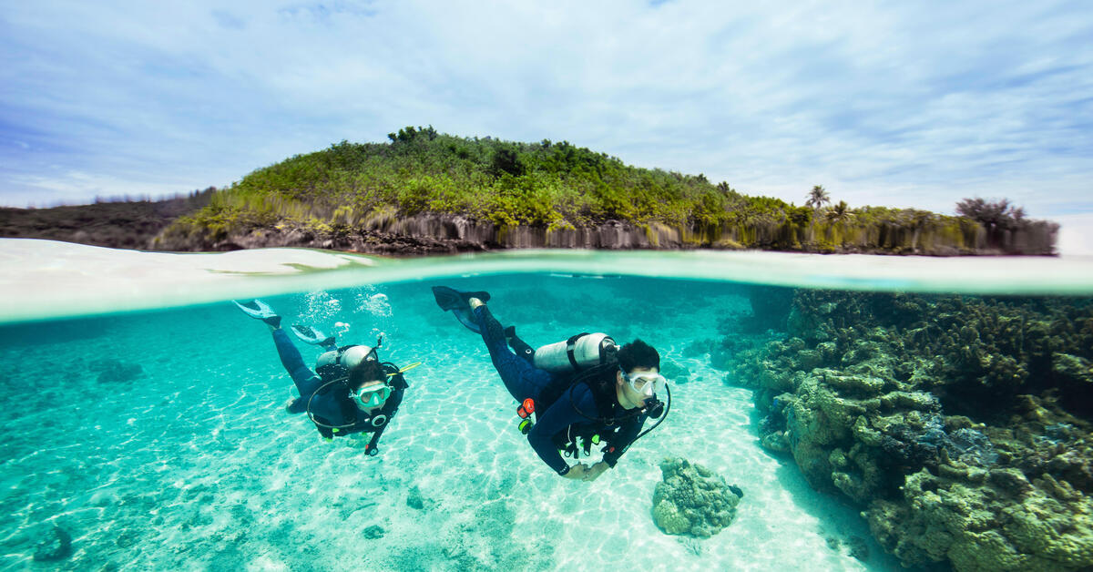 Choisir son arbalète de chasse sous-marine - Planet Plongée