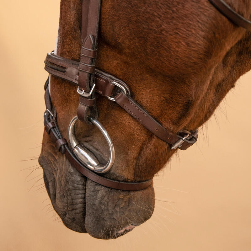 Cabeçada em Couro de Equitação Focinheira Francesa Cavalo e Pónei 580 Castanho