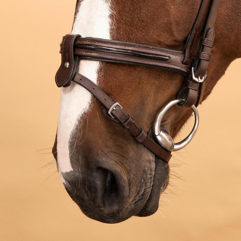 Cabeçada em Couro de Equitação Focinheira Francesa Cavalo e Pónei 580 Castanho