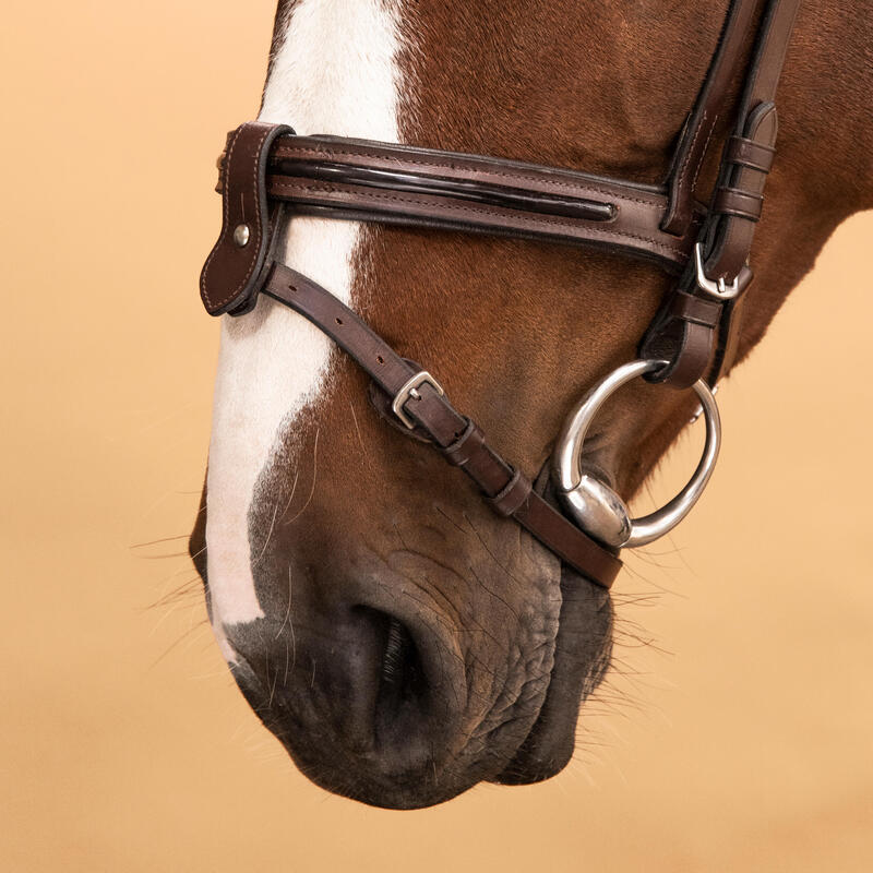 Hoofdstel voor paarden en pony's 580 Franse neusriem leer glossy bruin