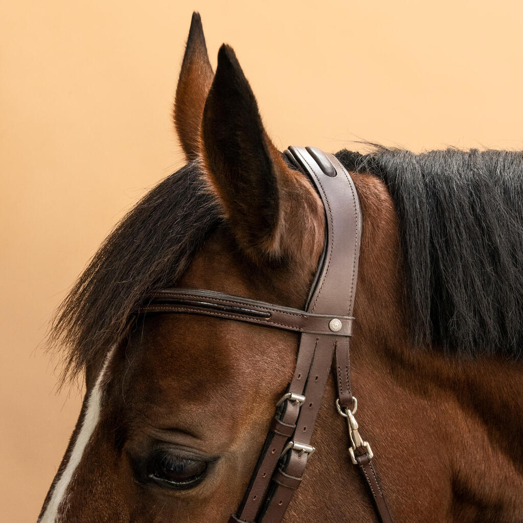 Horse & Pony Riding Leather French Noseband Bridle 580 Glossy - Brown