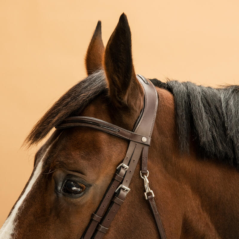 Cabeçada em Couro de Equitação Focinheira Francesa Cavalo e Pónei 580 Castanho
