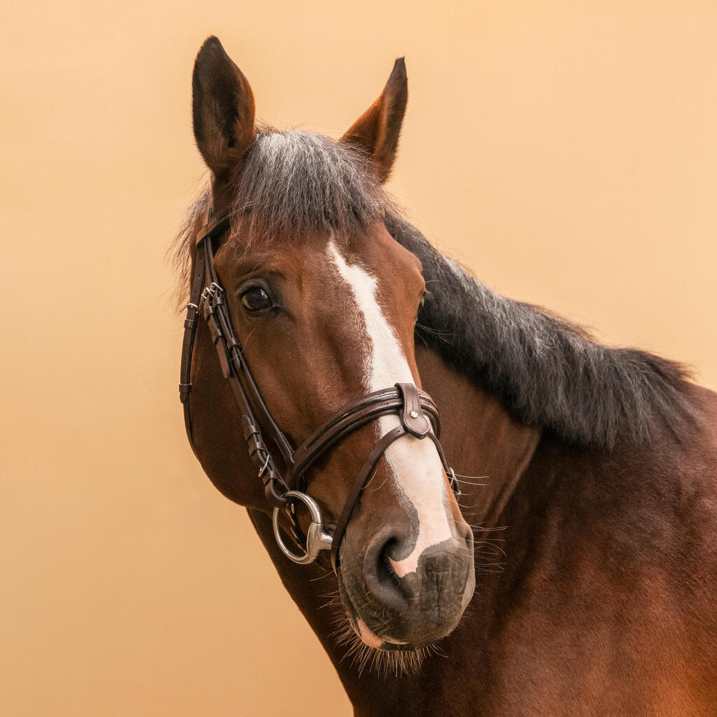 Trense Leder Pony/Pferd - Glossy braun