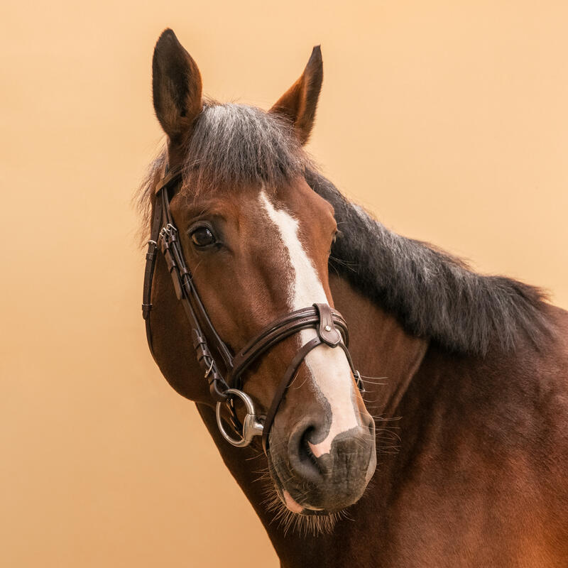 Cabeçada em Couro de Equitação Focinheira Francesa Cavalo e Pónei 580 Castanho