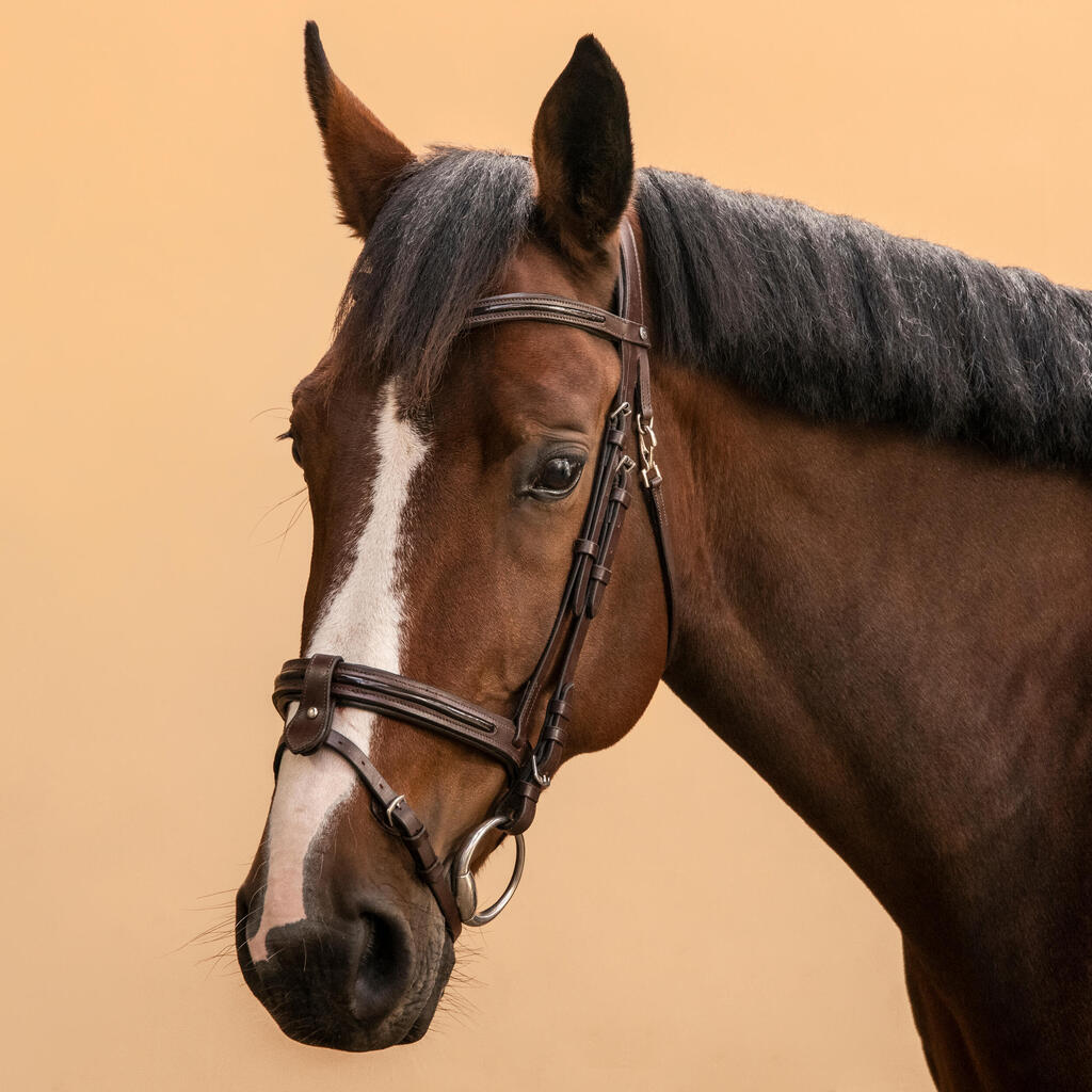 Horse & Pony Riding Leather French Noseband Bridle 580 Glossy - Brown