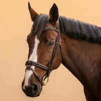 Horse & Pony Riding Leather French Noseband Bridle 580 Glossy - Brown