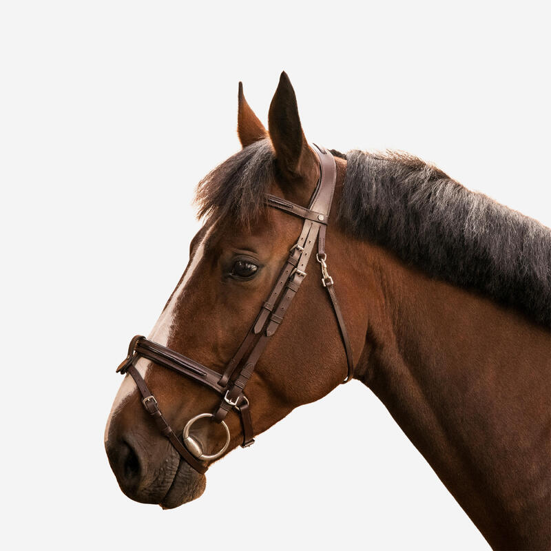 Filet cheval et poney cuir muserolle française glossy marron 580