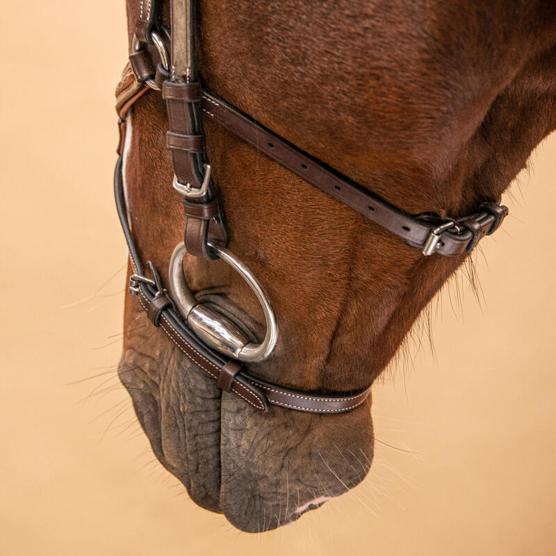 Hoofdstel voor paarden en pony's 580 leer gekruiste neusriem met stiksels bruin