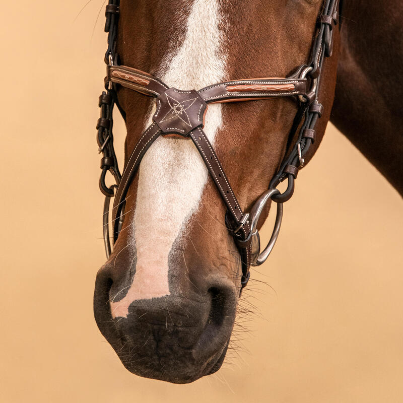 Cabezada Caballo Poni 580 Marrón Cuero Pespunte Muserola Cruzada