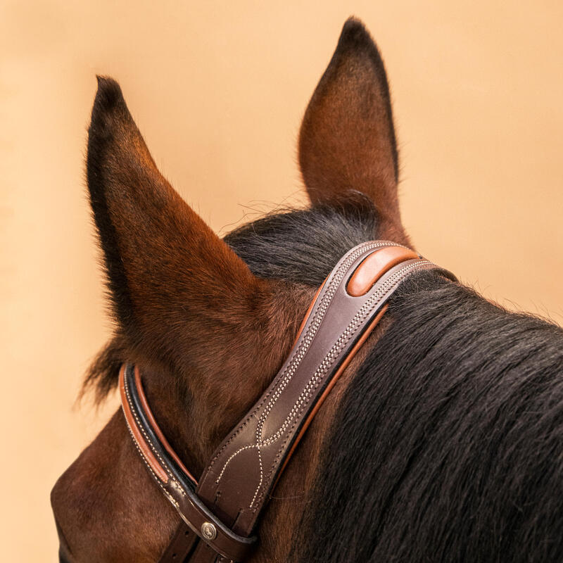 Hoofdstel voor paarden en pony's 580 leer gekruiste neusriem met stiksels bruin