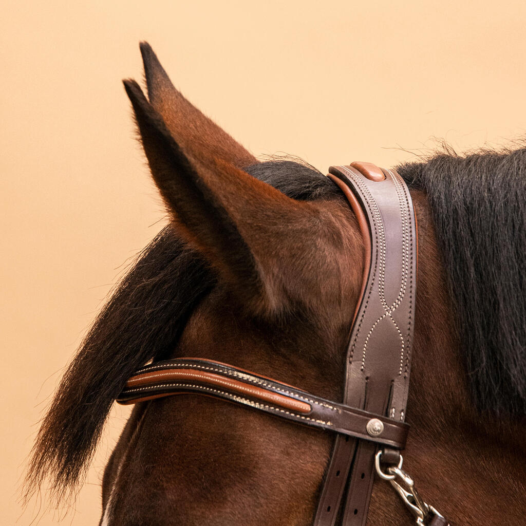 Horse Riding Leather Grackle Bridle for Horse and Pony 580 - Brown Topstitched