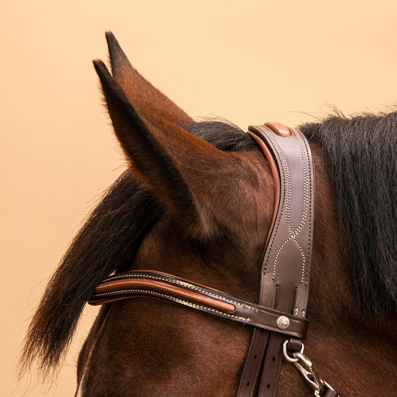 Testiera equitazione pony e cavallo 580 incrociata marrone 
