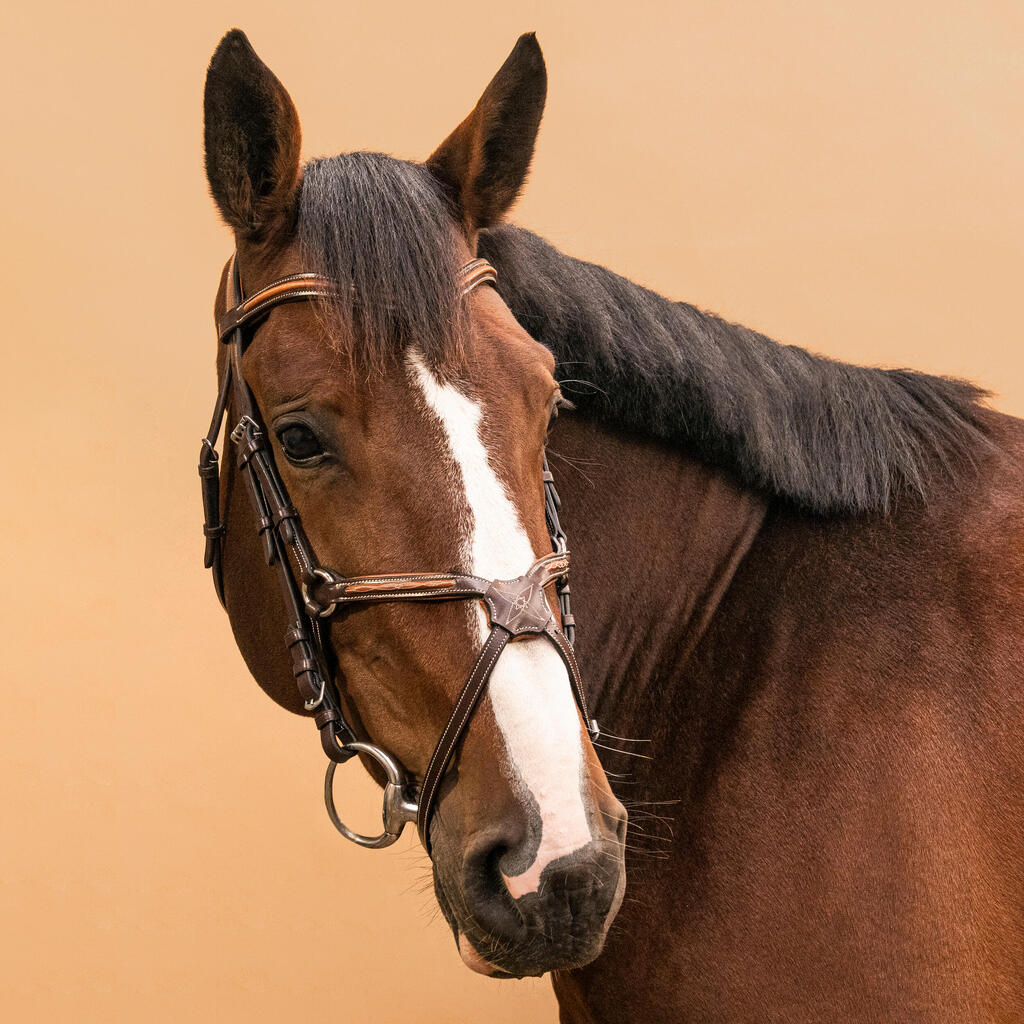 Horse Riding Leather Grackle Bridle for Horse and Pony 580 - Brown Topstitched