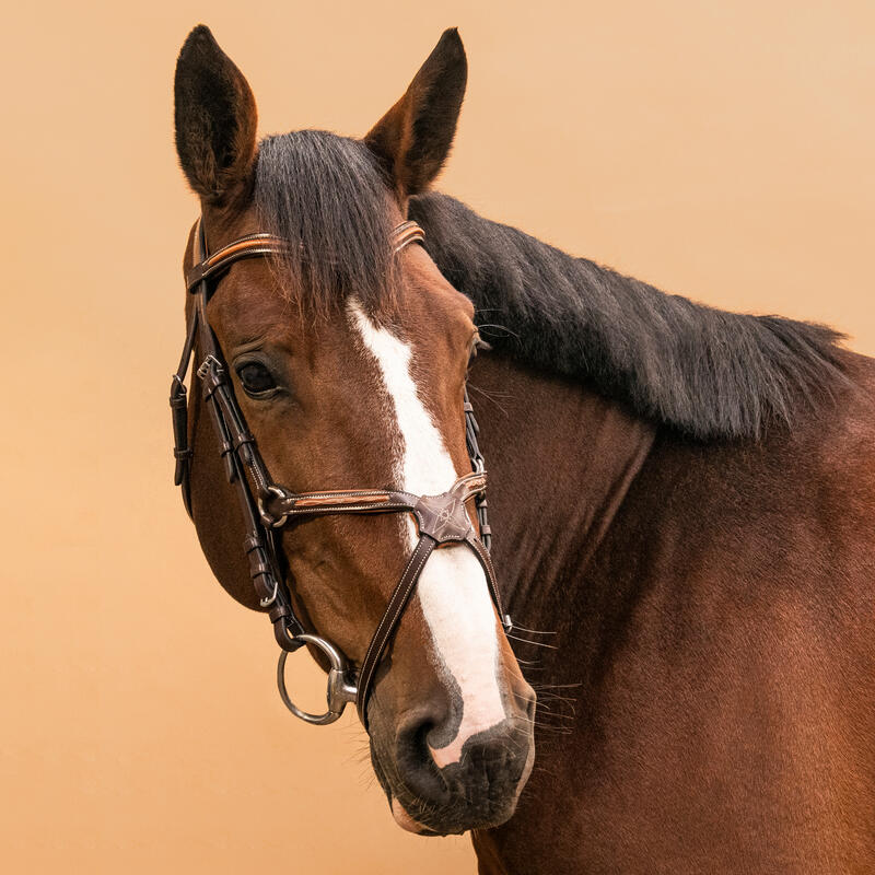 Hoofdstel voor paarden en pony's 580 leer gekruiste neusriem met stiksels bruin