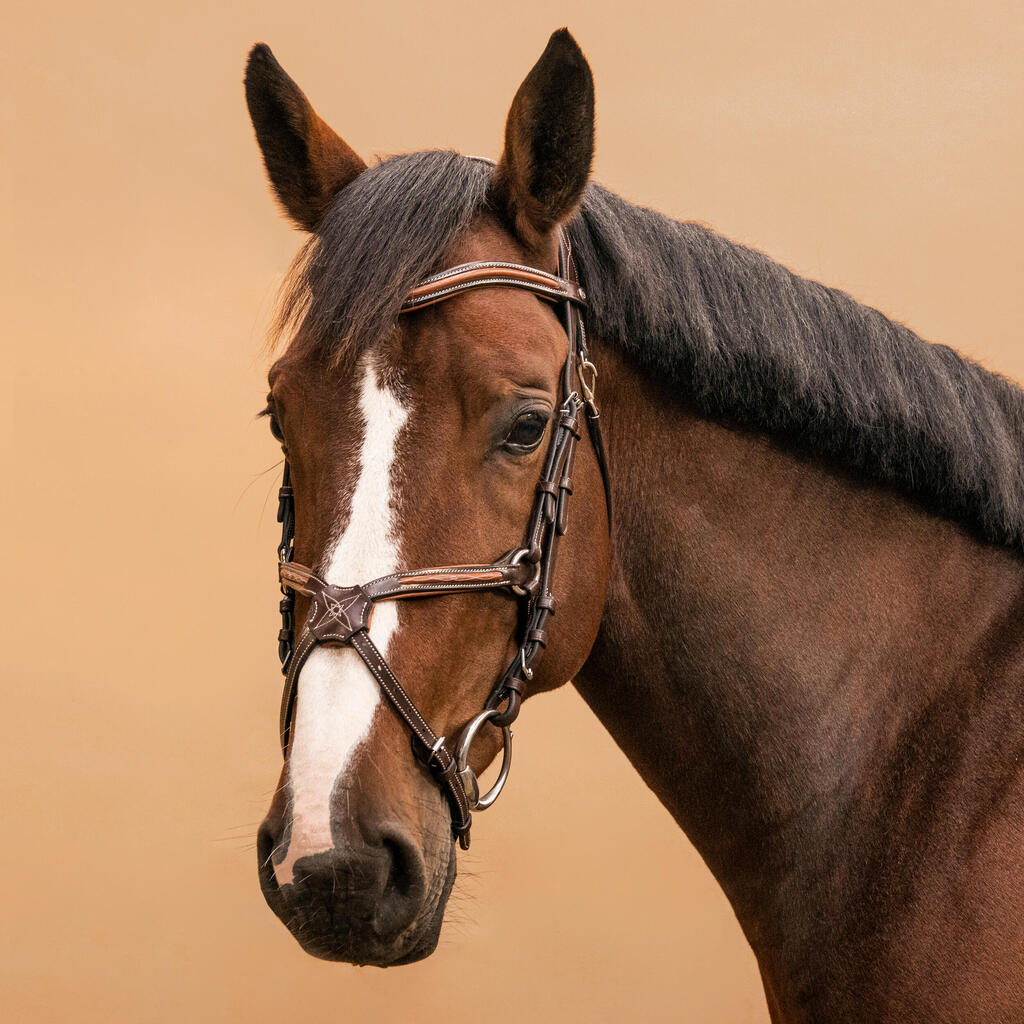 Horse Riding Leather Grackle Bridle for Horse and Pony 580 - Brown Topstitched