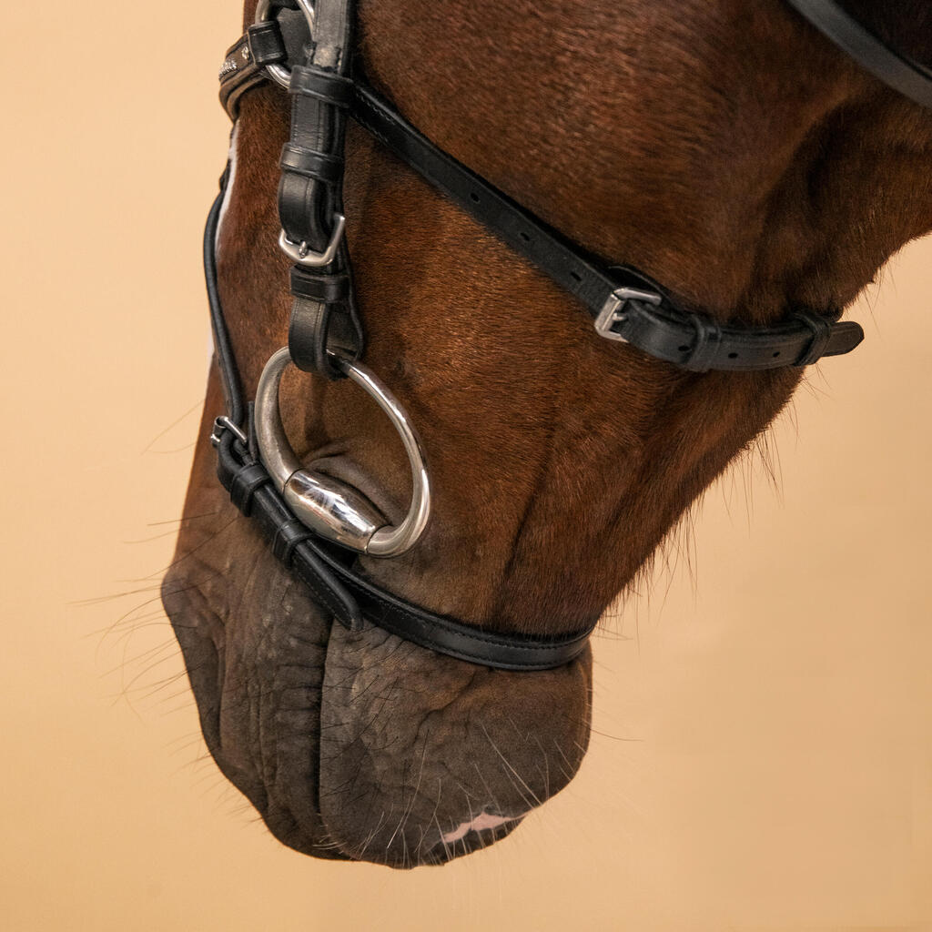 Horse & Pony Leather Grackle Bridle - Brown Topstitched