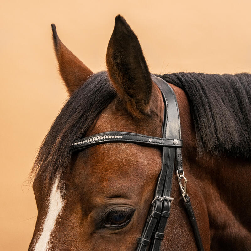 Hoofdstel voor paarden en pony's 580 leer gekruiste neusriem zwart