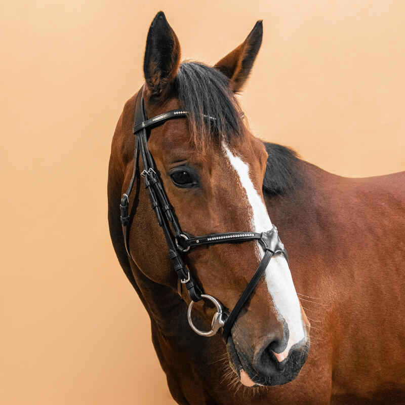 Filet équitation cuir muserolle croisée strass Cheval et Poney - 580 noir