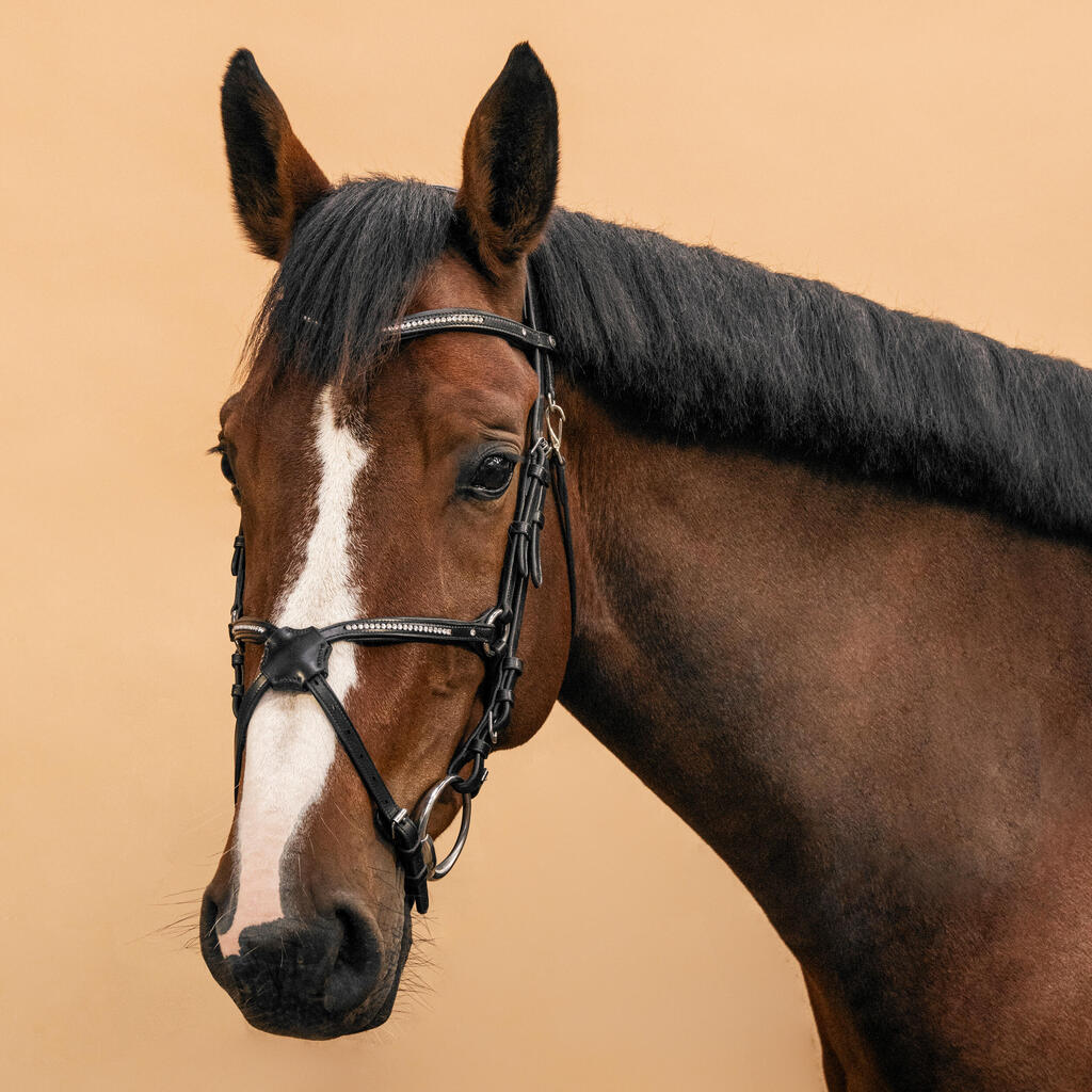 Horse Riding Crossed-Noseband Leather Bridle For Horse and Pony 580 - Black Rhinestone