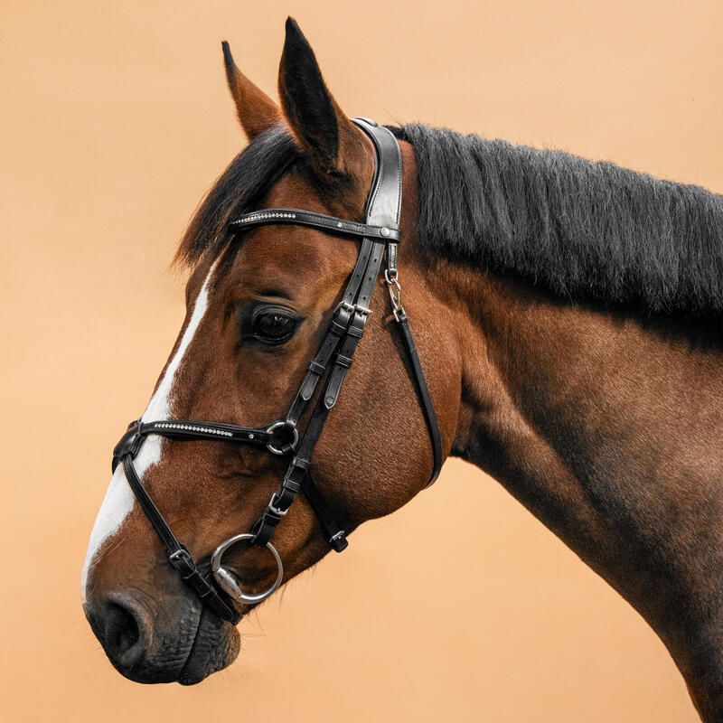 Hoofdstel voor paarden en pony's 580 leer gekruiste neusriem zwart