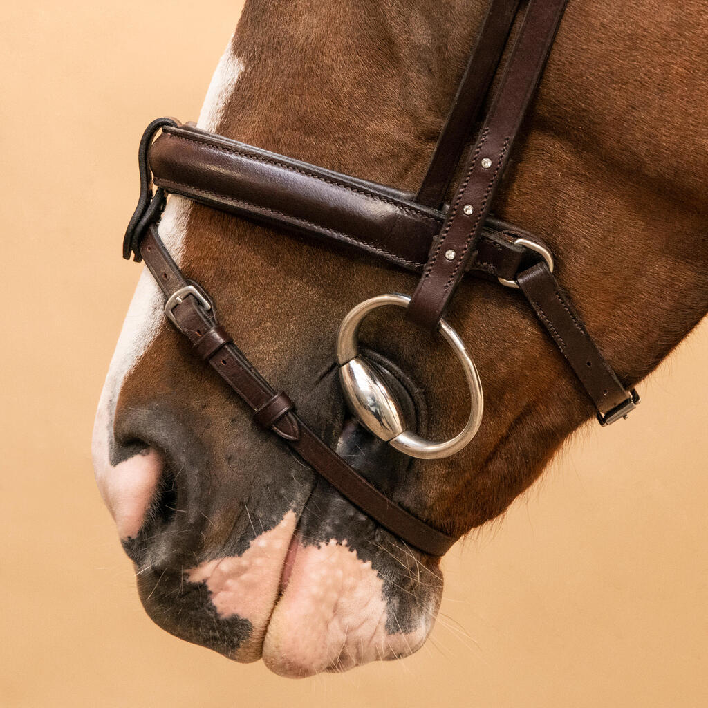 Horse Riding Leather Bridle With French Noseband 580 - Brown Rhinestones