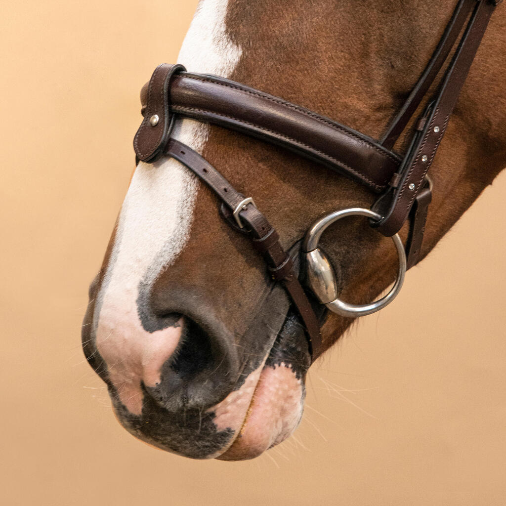 Horse Riding Leather Bridle With French Noseband 580 - Brown Rhinestones