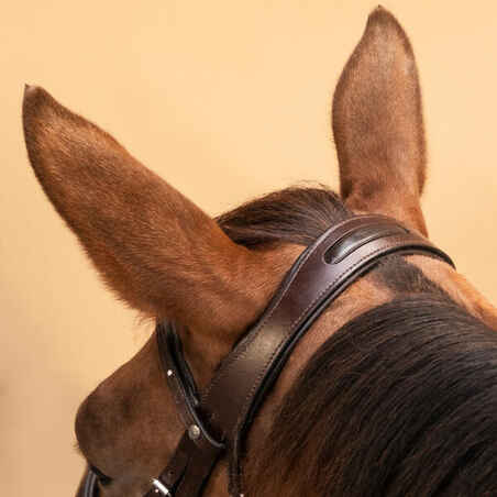 Horse Riding Leather Bridle With French Noseband 580 - Brown Rhinestones