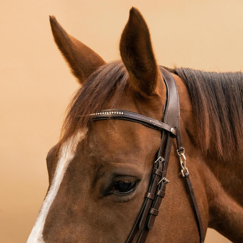 Cabeçada em Couro com Strass de Equitação Focinheira Francesa 580 Castanho