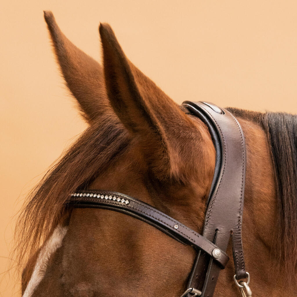 Horse Riding Leather Bridle With French Noseband 580 - Brown Rhinestones
