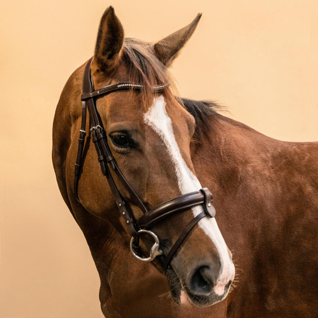 Horse Riding Leather Bridle With French Noseband 580 - Brown Rhinestones