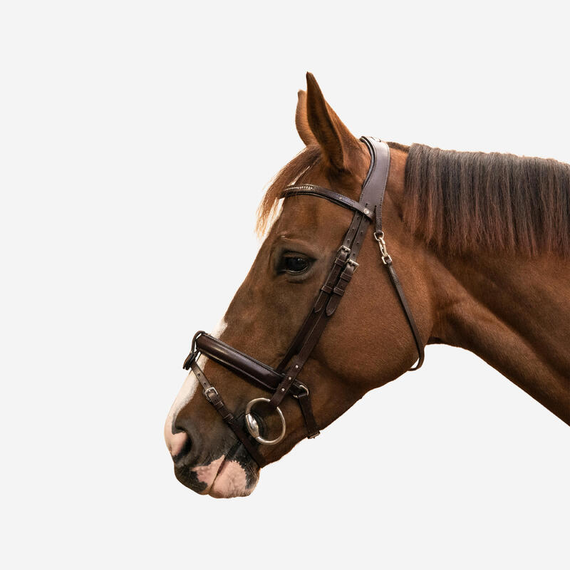 Filet cheval et poney cuir muserolle française strass marron 580